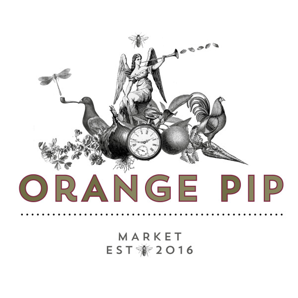 orange pip logo square orange pip logo