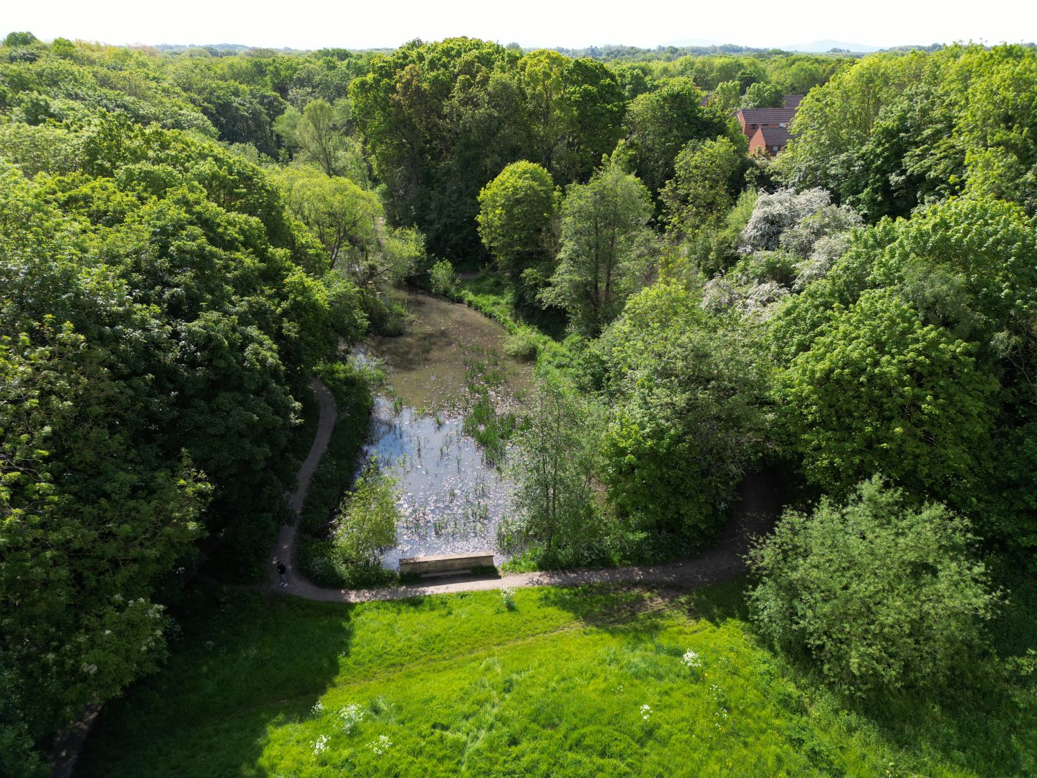 Fairy Dell drone shot