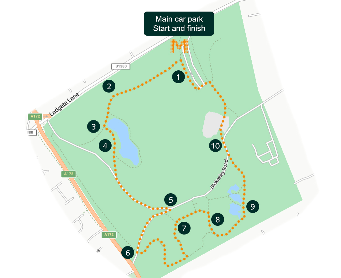 stewart park walking trail map